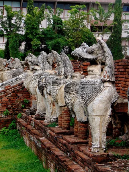 Estatuas de leones en Ayutthaya —  Fotos de Stock