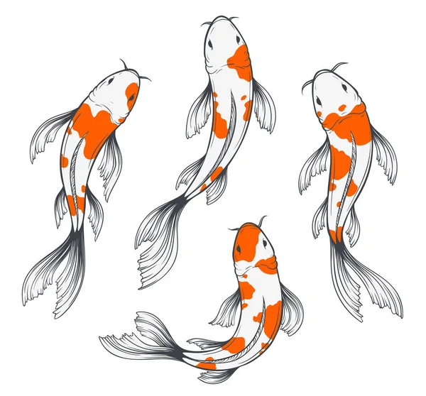 Koi Fisch Set — Stockvektor