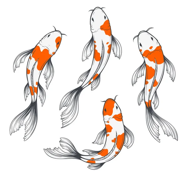 Koi Fish Set Vector Graphics