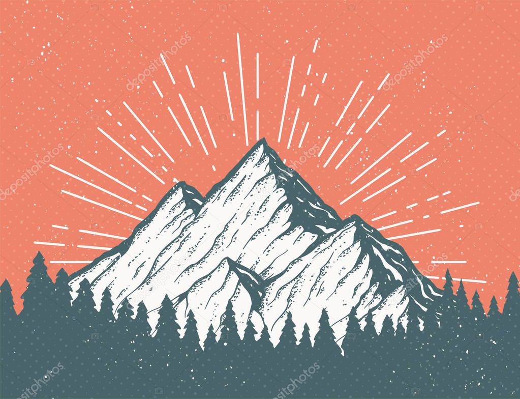 Vintage vector postcard with a mountain and woods. Pine forest in front of an icy white peak. Cool tourism card or banner design template.