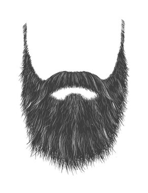 uzun gri sakal