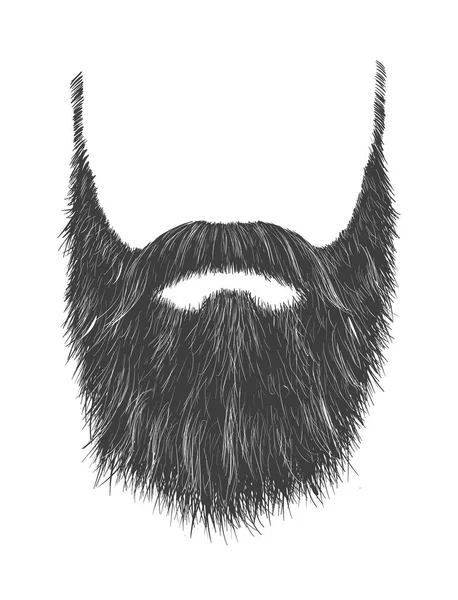 Barba gris larga — Vector de stock