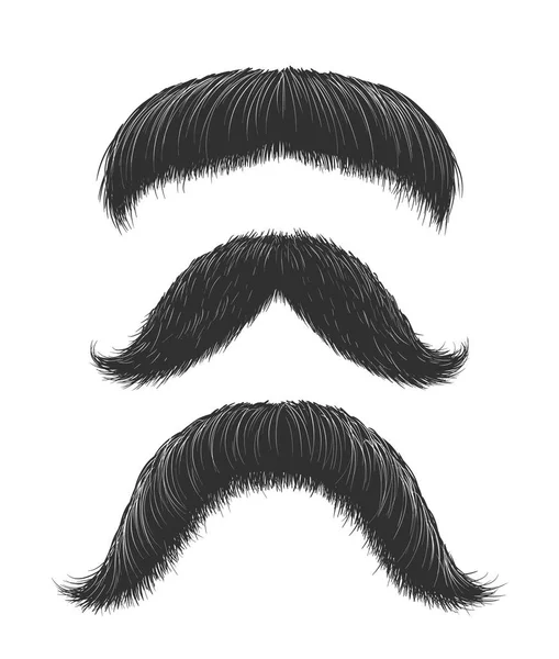 Conjunto de bigotes cómicos — Vector de stock