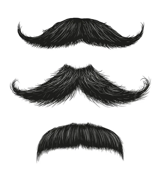 Set de tres bigotes — Vector de stock