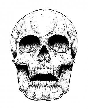 İnsan kafatası görüntü