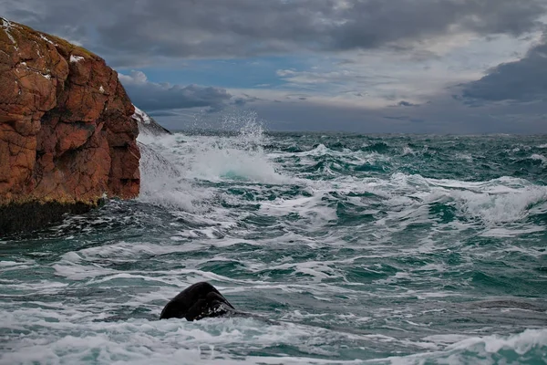 Kış fırtına denizde
