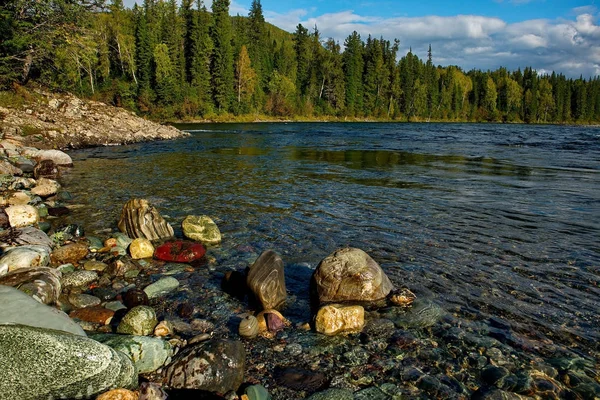 Камни горных рек Сибири — стоковое фото