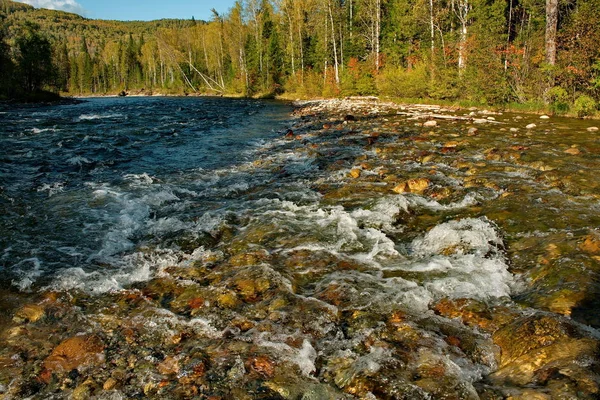 Las piedras de los ríos de montaña de Siberia —  Fotos de Stock
