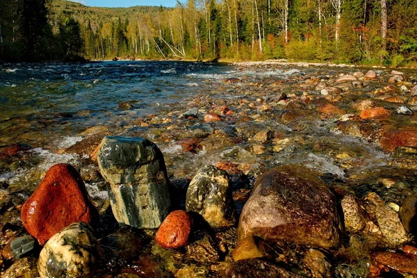 Las piedras de los ríos de montaña de Siberia — Foto de Stock