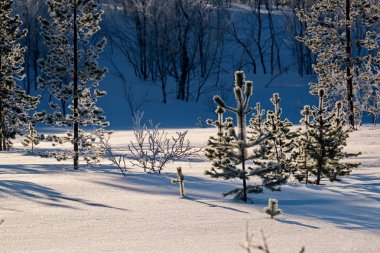 Arctic güneşli bir günde