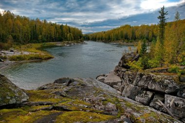 Sibirya dağ nehirler sonbaharda
