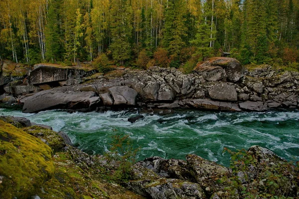 Otoño en los ríos de montaña de Siberia — Foto de Stock