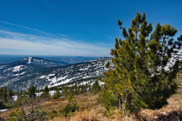 Dağ Shoria Tayga bahar