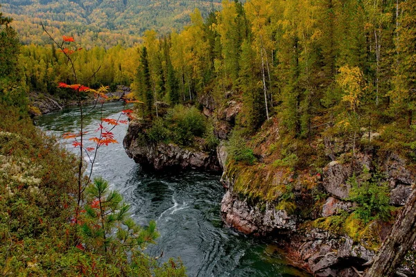 La belleza de los ríos de montaña de Siberia —  Fotos de Stock