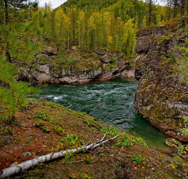 La belleza de los ríos de montaña de Siberia — Foto de Stock