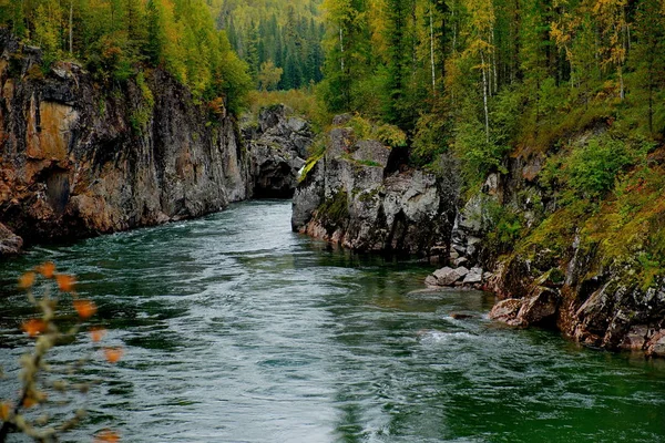 The beauty of the mountain rivers of Siberia — Stock Photo, Image