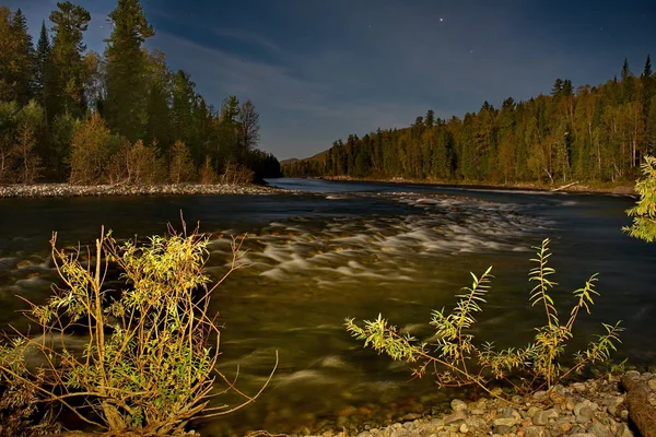 Notte al chiaro di luna in Siberia — Foto Stock