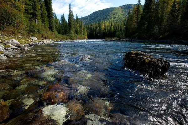 De schoonheid van de berg rivieren van Siberië — Stockfoto