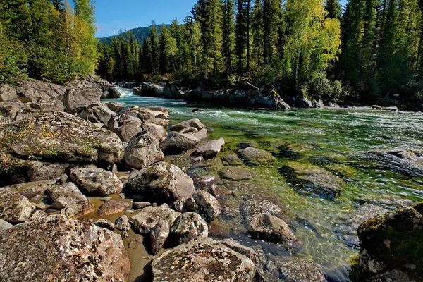 The beauty of the mountain rivers of Siberia — Stock Photo, Image