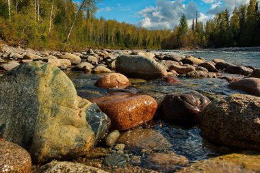 Sibirya dağ nehirler güzelliği