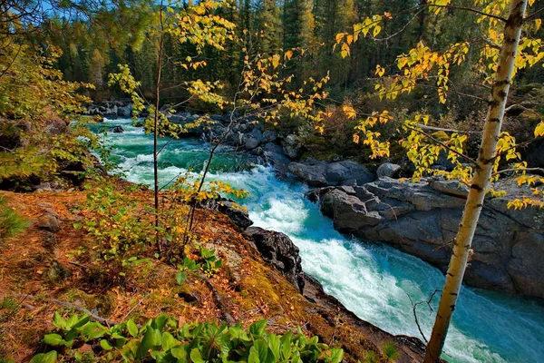 Die Schönheit der Gebirgsflüsse Sibiriens — Stockfoto