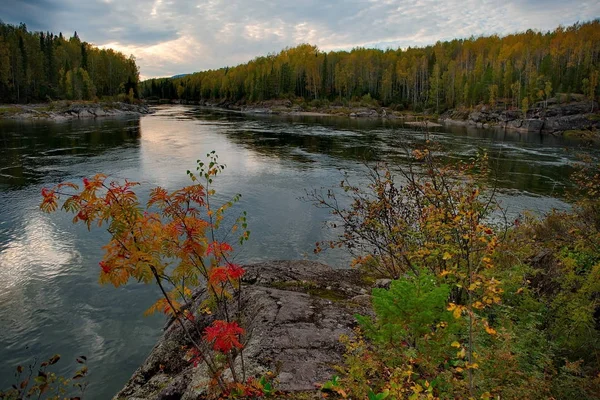La belleza de los ríos de montaña de Siberia —  Fotos de Stock