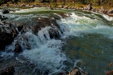 Sibirya dağ nehirler güzelliği