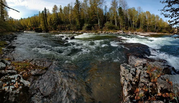 La beauté des rivières de montagne de Sibérie — Photo