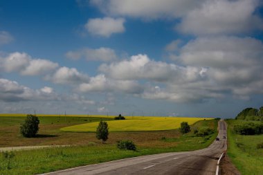 Altay bölgesi buğday alanlarında