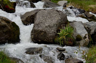 Yaz dağ Altay nehirler üzerinde
