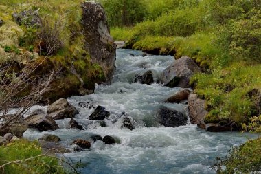 Yaz dağ Altay nehirler üzerinde