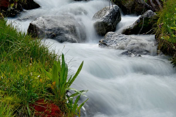Sommer auf den Flüssen des Altais — Stockfoto