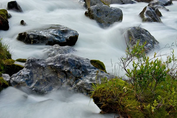 Sommer auf den Flüssen des Altais — Stockfoto