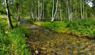 Altay Dağları vadilerde