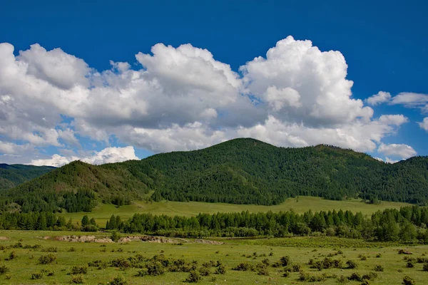 Лето в горах Алтая — стоковое фото