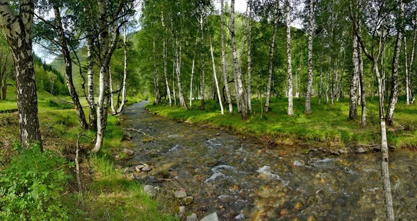 В долинах Алтаю — стокове фото