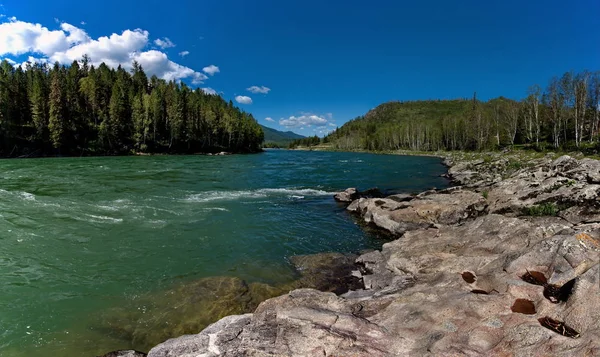 Summer on the river Katun — Stock Photo, Image