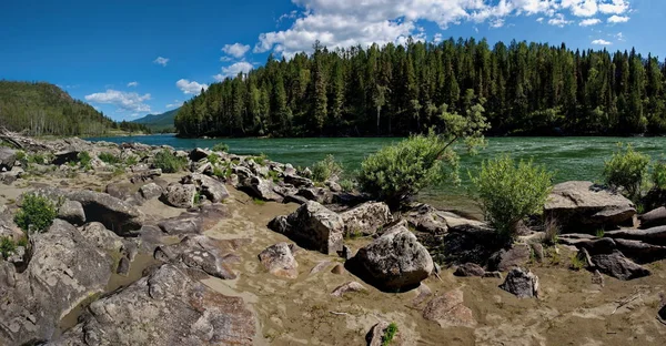 Verano en el río Katun —  Fotos de Stock