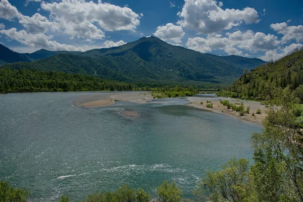 Summer on the river Katun — Stock Photo, Image