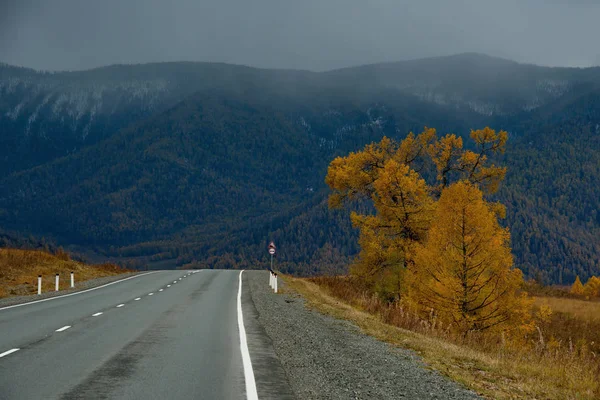 Otoño en las montañas de Altai — Foto de Stock