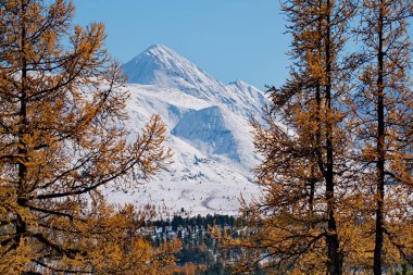 Altay Dağları sonbaharda