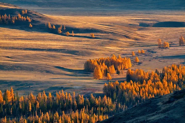 Autumn in the Altai Mountains — Stock Photo, Image