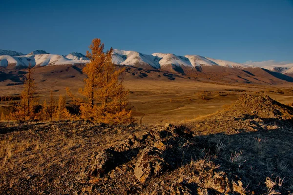 Altay Dağları sonbaharda — Stok fotoğraf