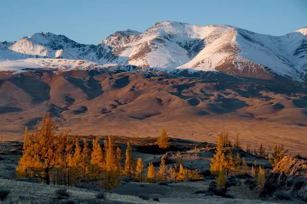 Altay Dağları sonbaharda — Stok fotoğraf