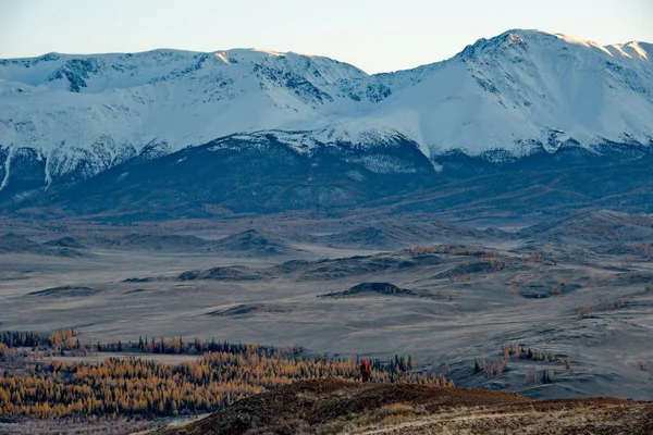 Herbst im Altai — Stockfoto