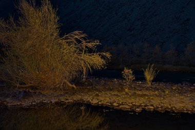 Ay ışığı gece Altay dağlarında