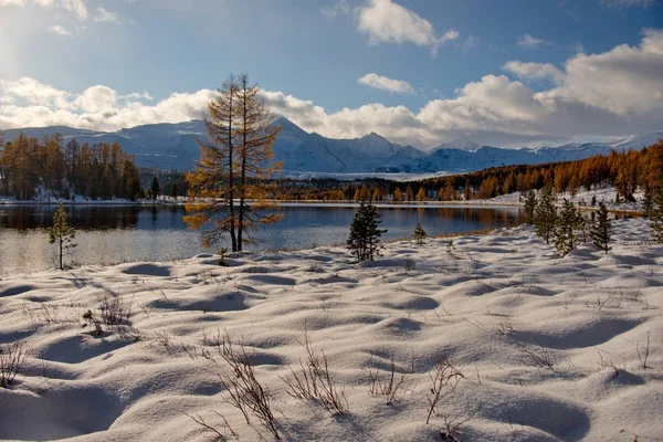 Herbst im Altai — Stockfoto