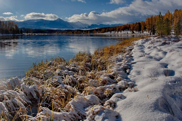 Automne dans les montagnes de l'Altaï — Photo