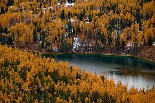 Efterår i Altai bjergene - Stock-foto