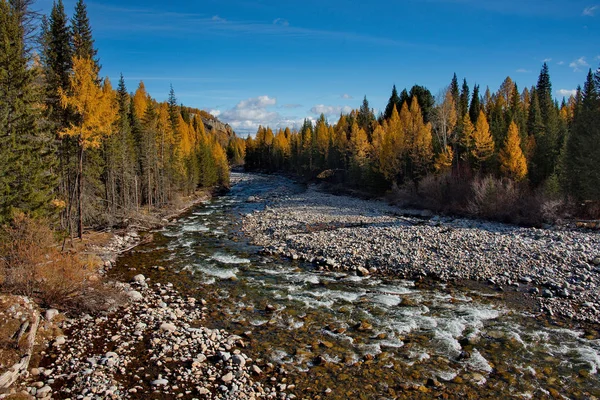 Autumn in the Altai Mountains — Stock Photo, Image